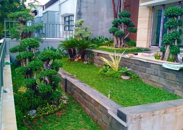 Pesona Alam Senja (27)