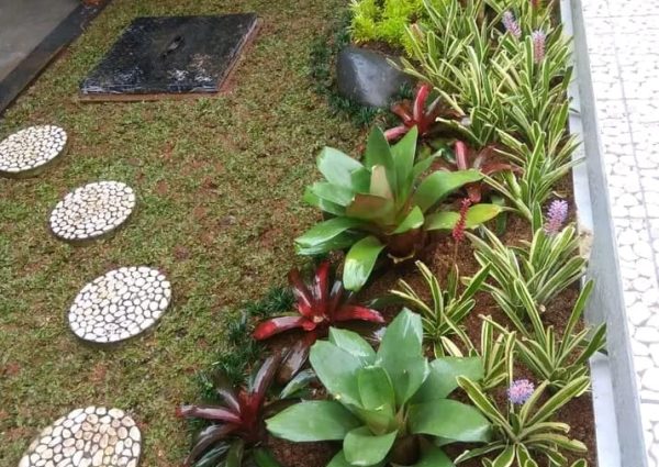 Pesona Alam Senja (35)